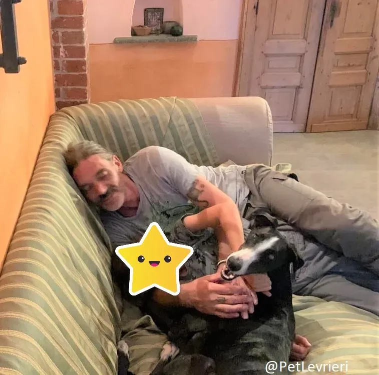 Lenu adozione levrieri galgo 42