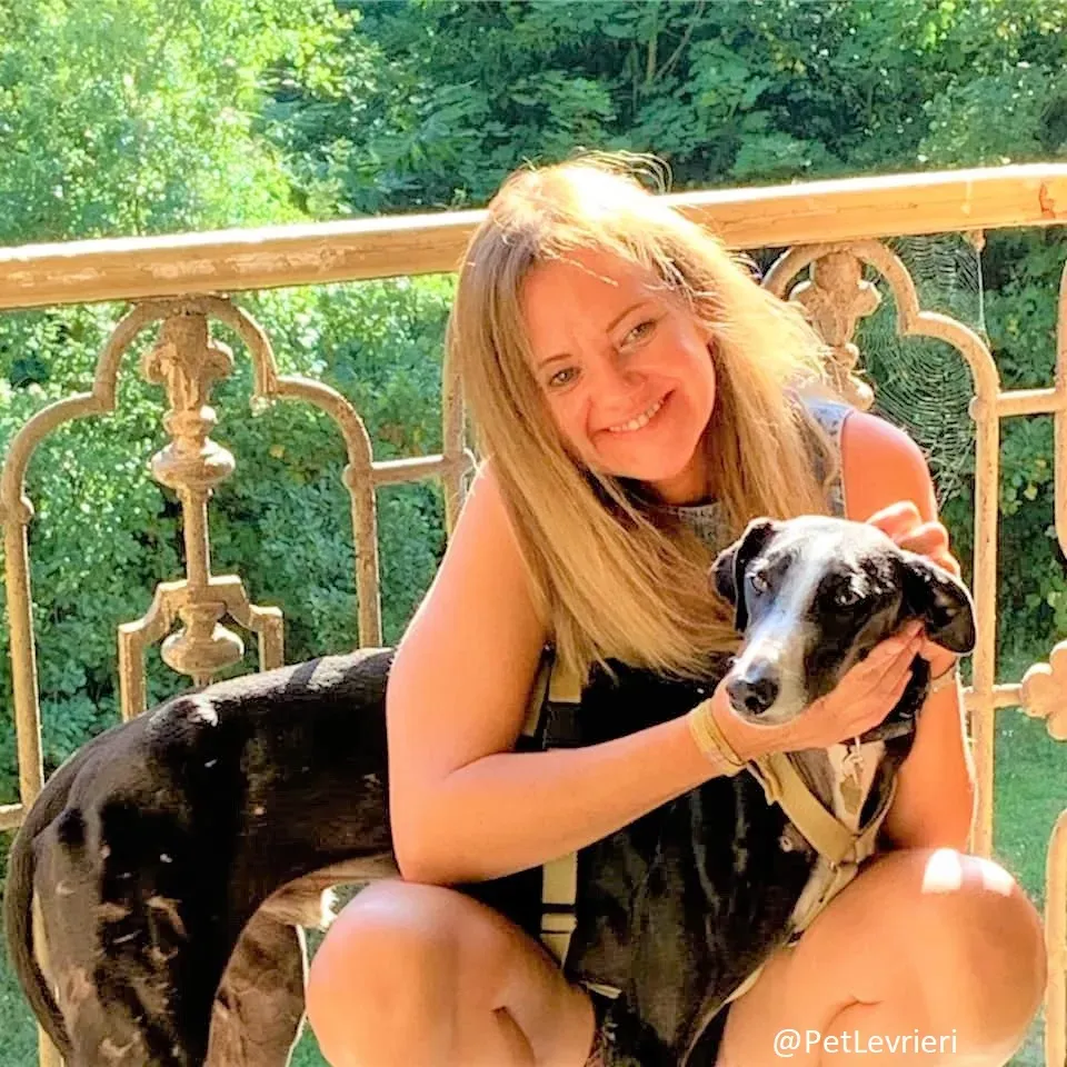 Lenu adozione levrieri galgo 70