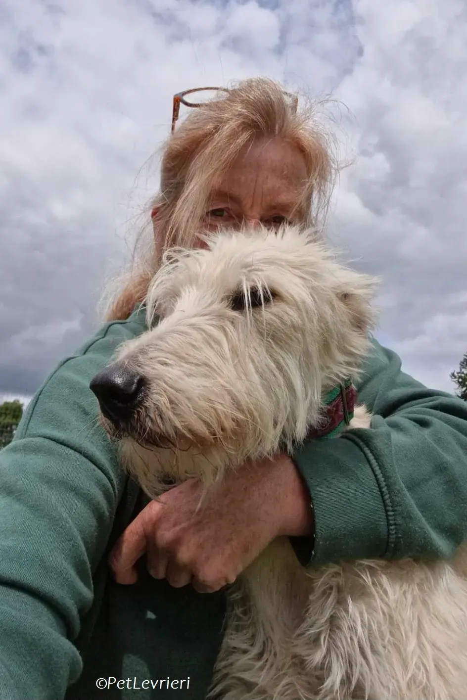 Liga levrieri greyhound 1