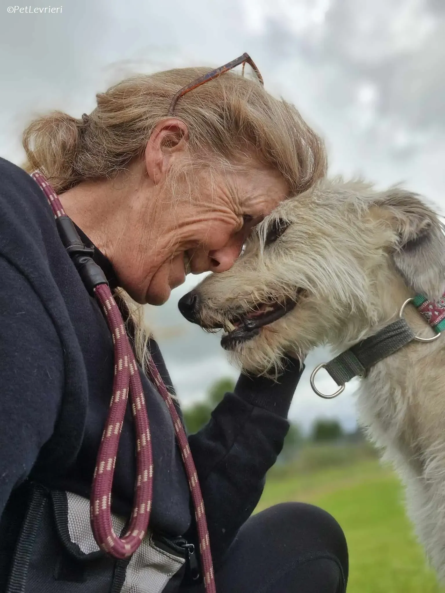 Liga levrieri greyhound 13