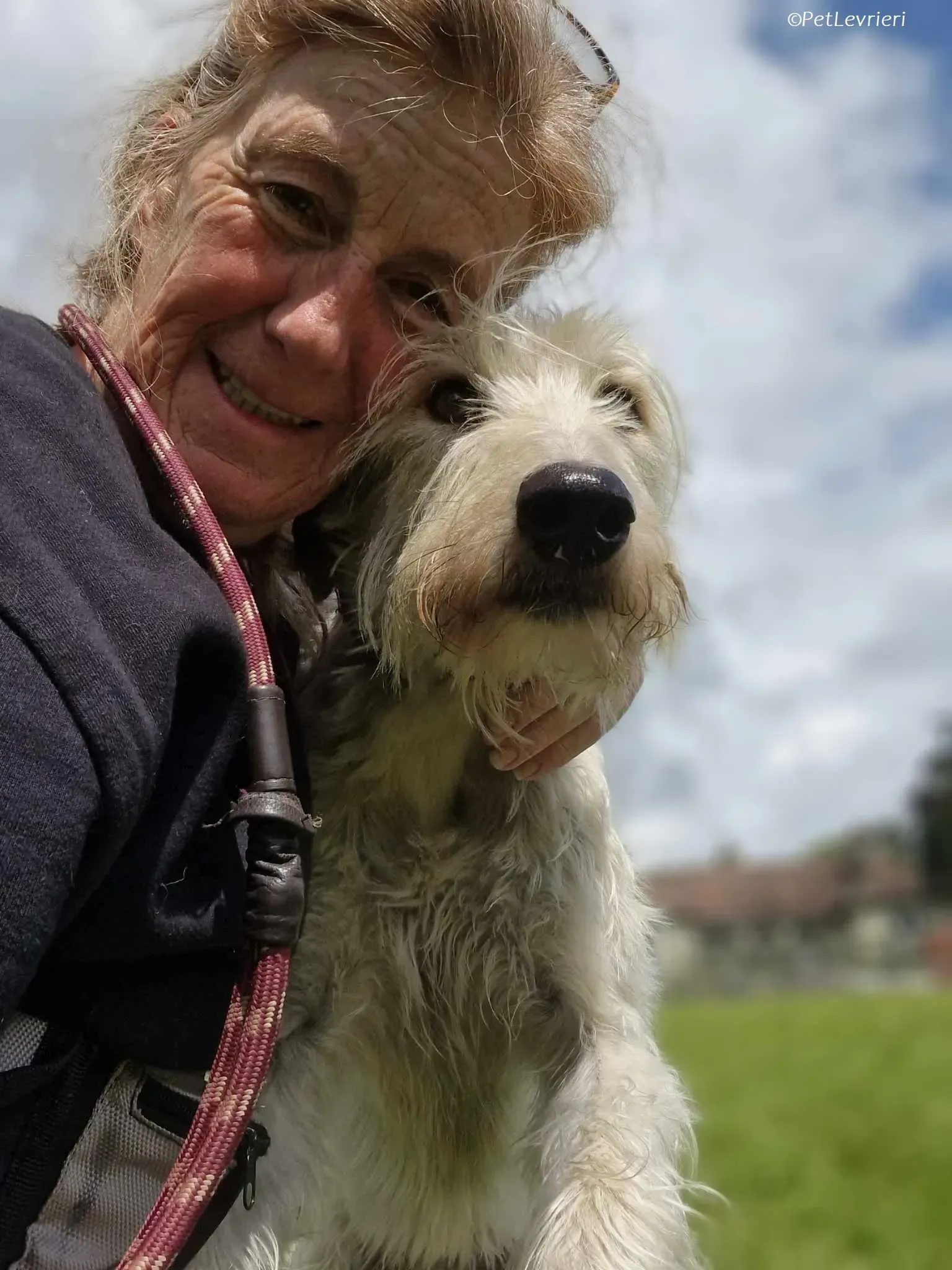 Liga levrieri greyhound 7