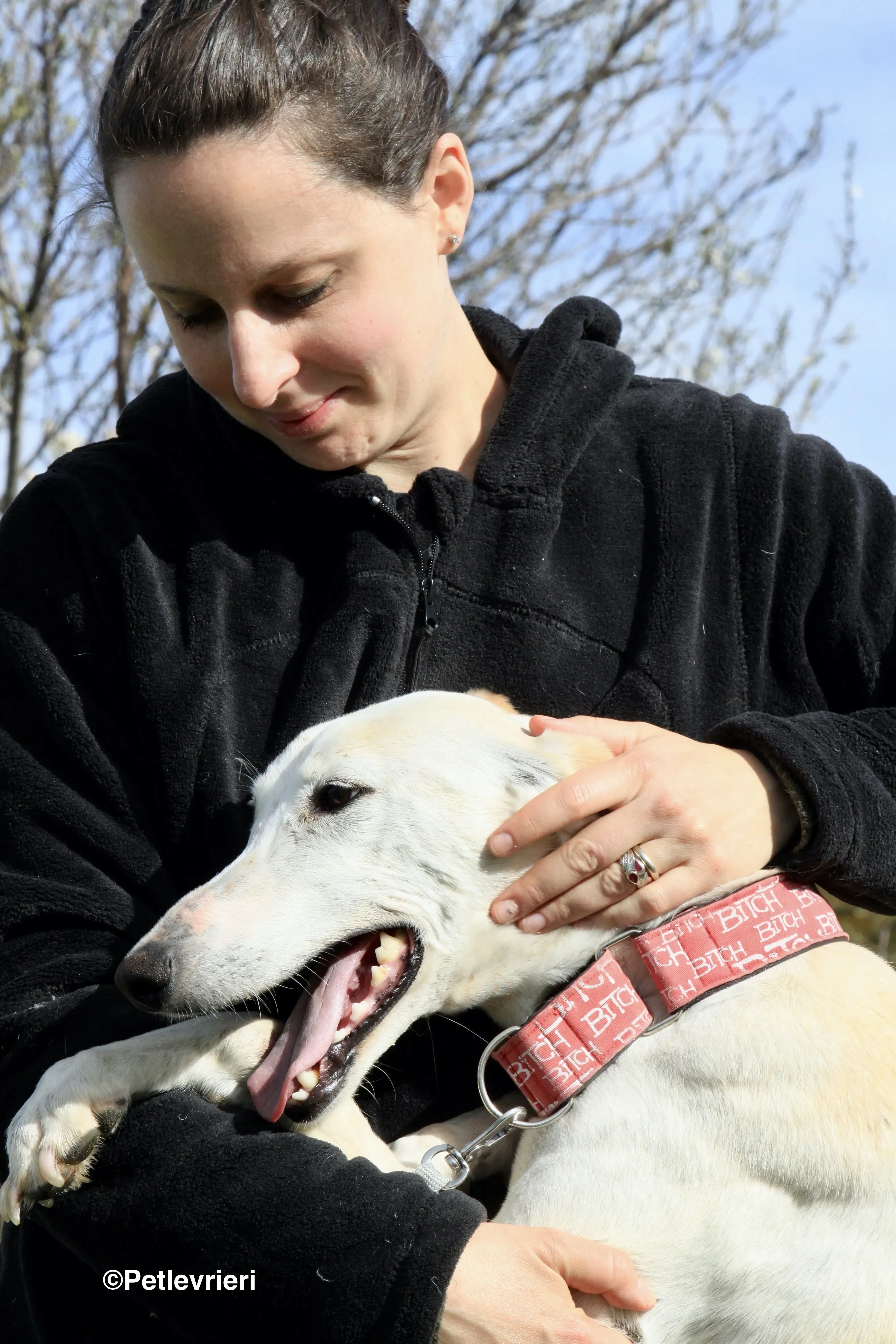 Luna adozione levrieri galgo 33