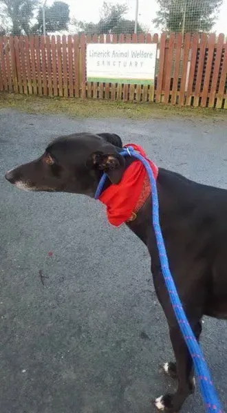 MC 12373413 928781407205715 7304624205134807068 n