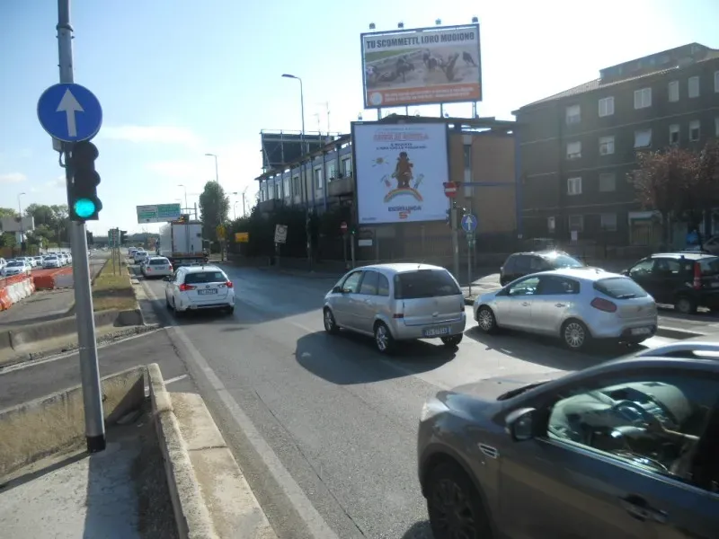 MI V.le Forlanini civ.54 8x5 PET LEVRIERI 03.10.2016