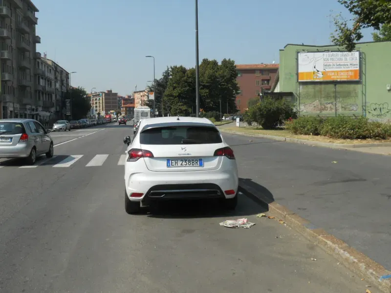 MI Via Forze Armate cim.153 PET LEVRIERI 05.09.2016