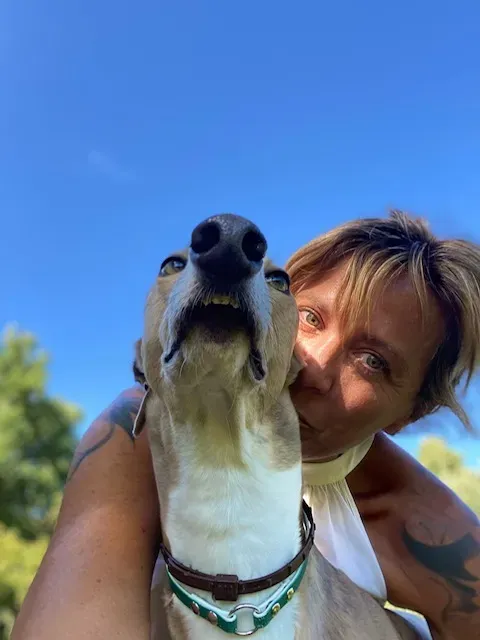 Magica greyhound pet levrieri felici casa2