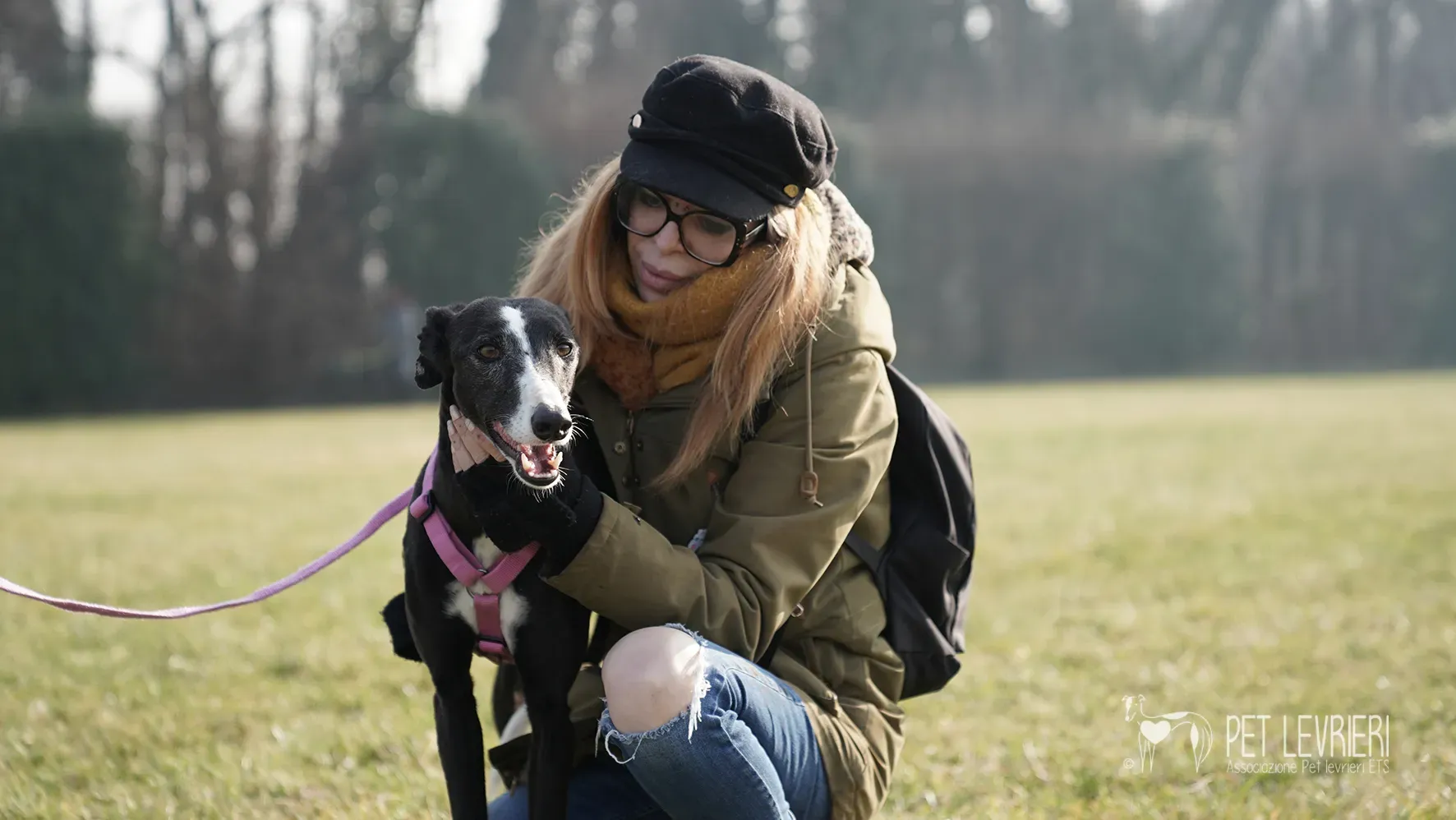 Marea galgo femmina adozione galgo arrivo 17febbraio 179