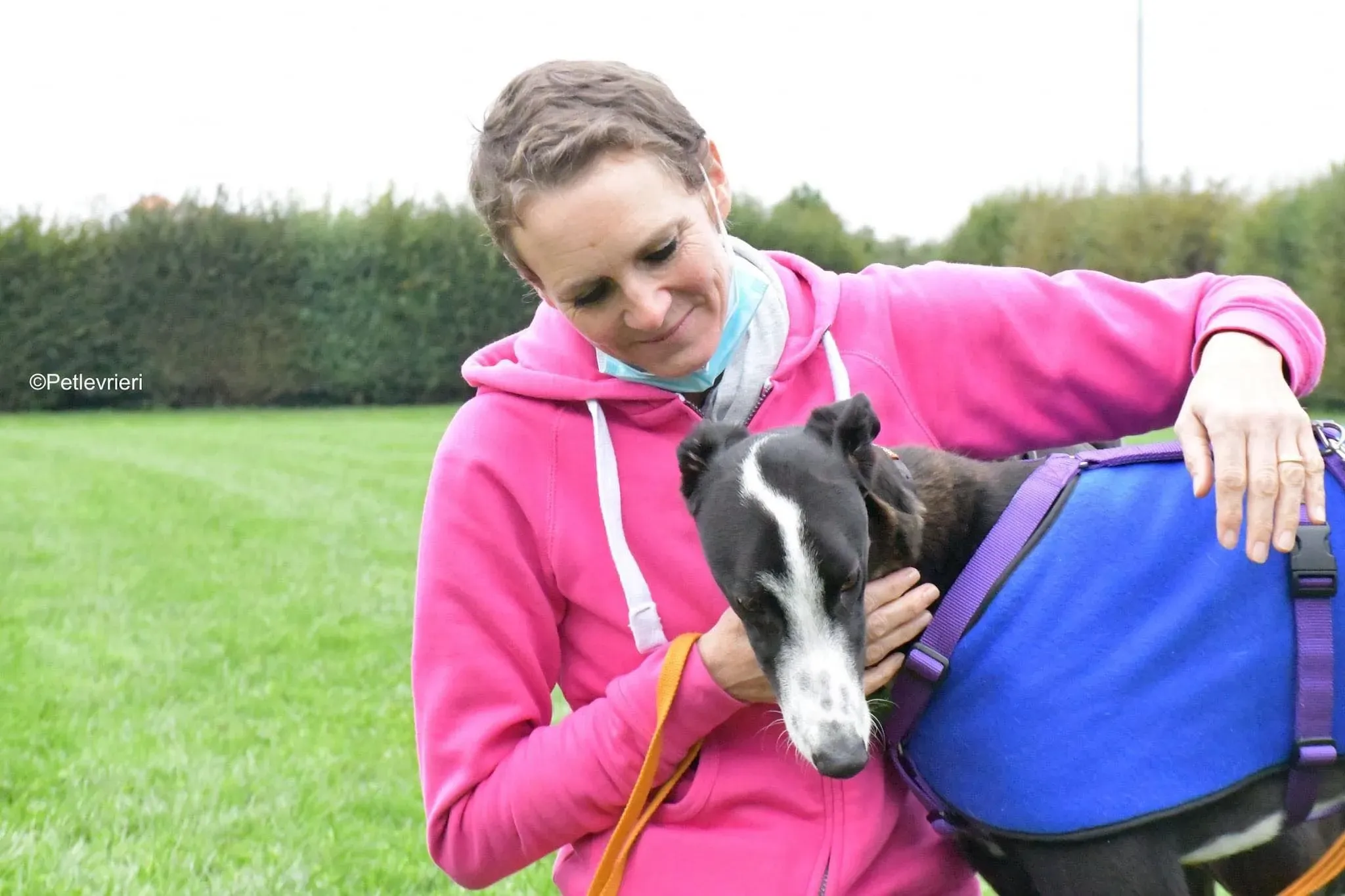 Monty thegryhound adoptionday adozione levrieri 6