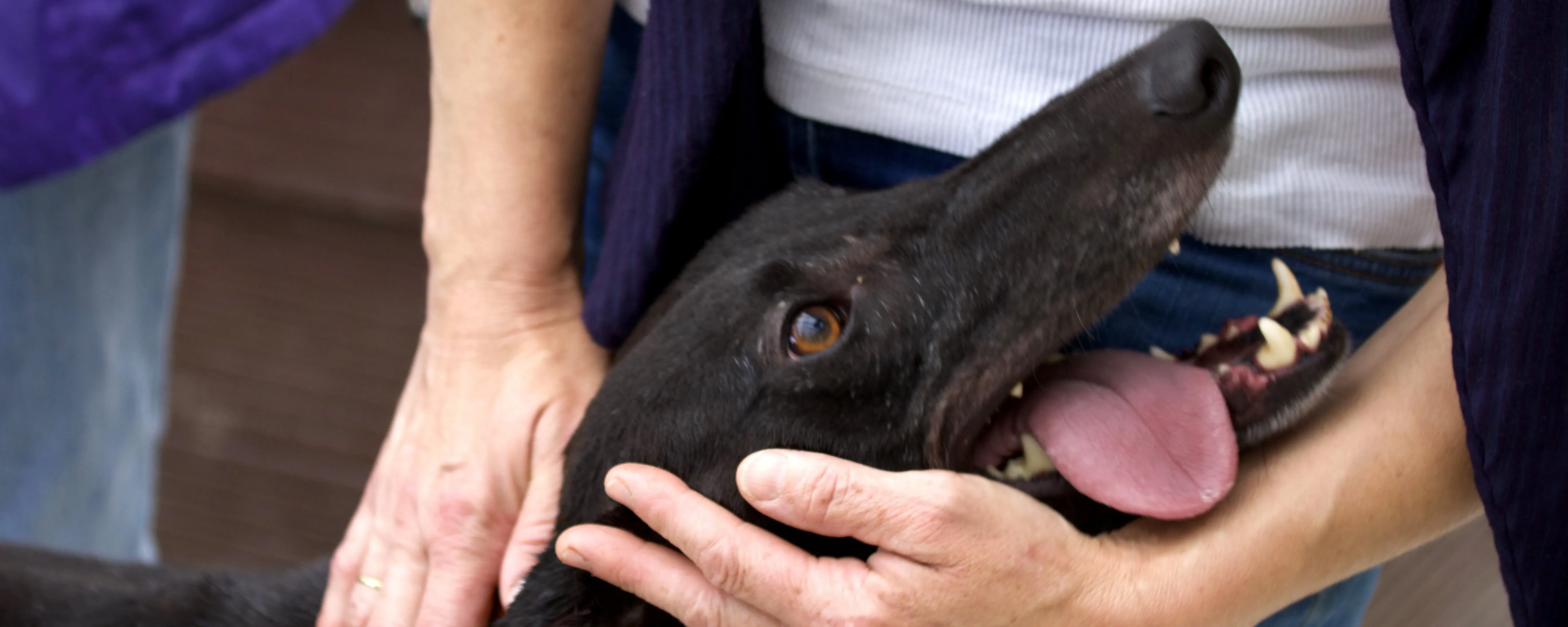 Murt 5 e1539776782446