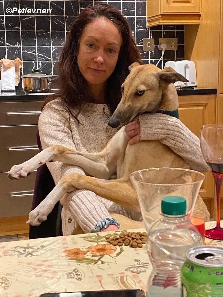 Neville adozione levrieri greyhound 11