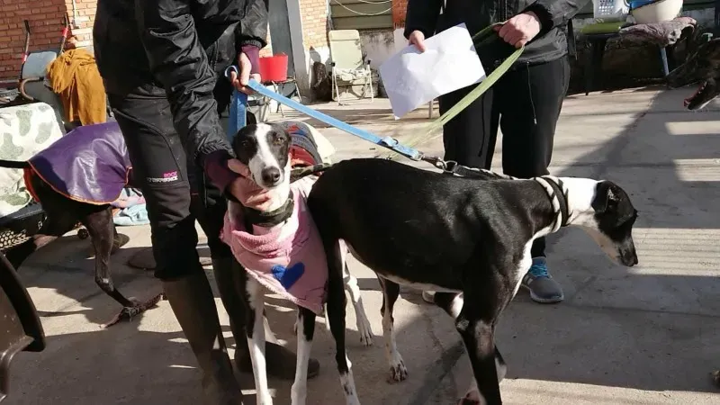 OLGA E KATARINA101 1