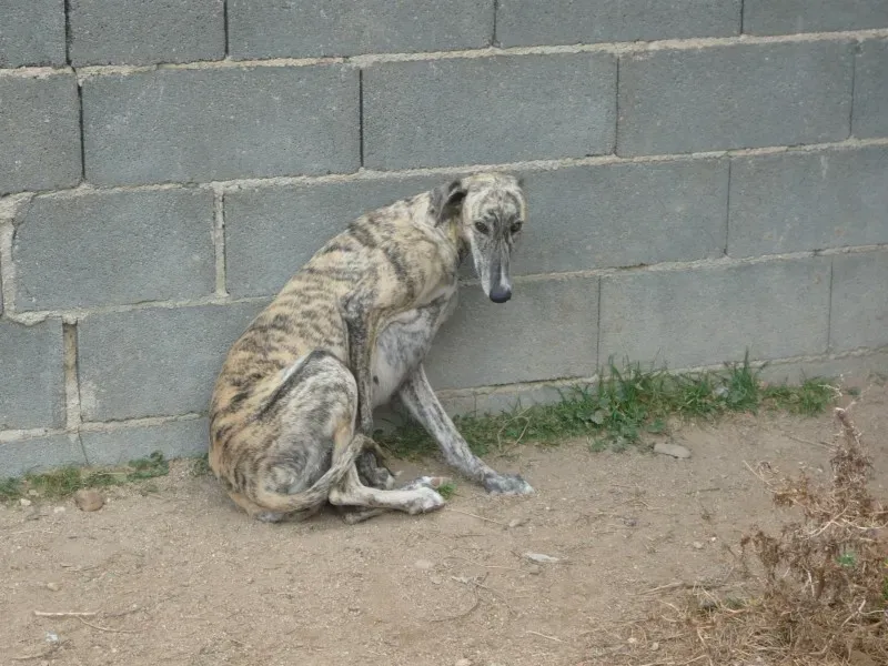 P1040438 e1385759392659