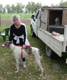 P1130038 small cropped