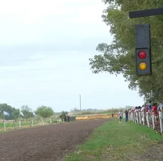 P1130053 small cropped