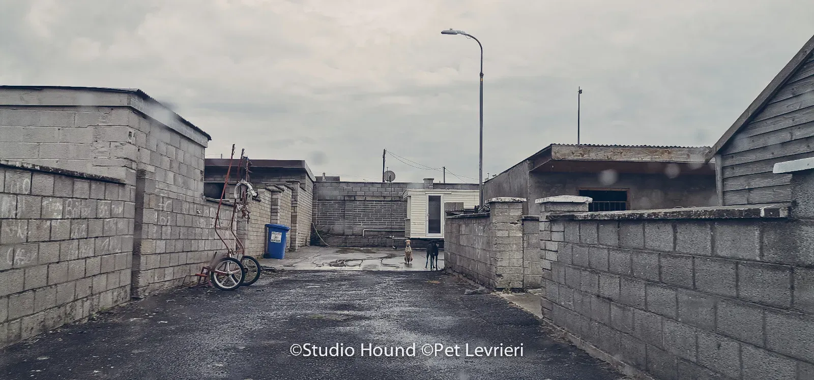 PHOTO 2022 08 09 10 29 05 11