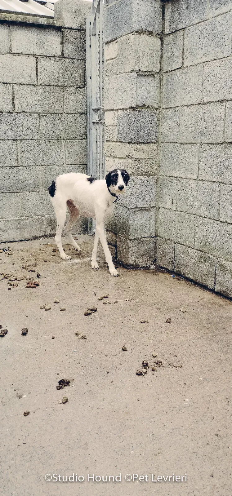 PHOTO 2022 08 09 10 29 05 12