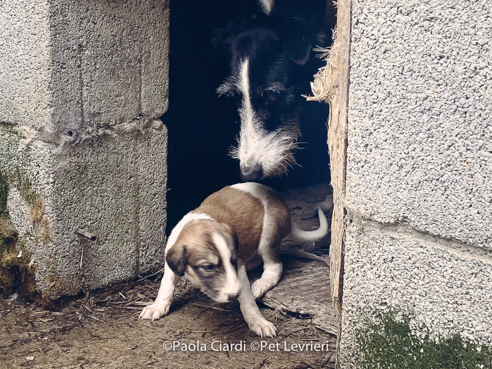 PHOTO 2022 08 09 10 29 05 13