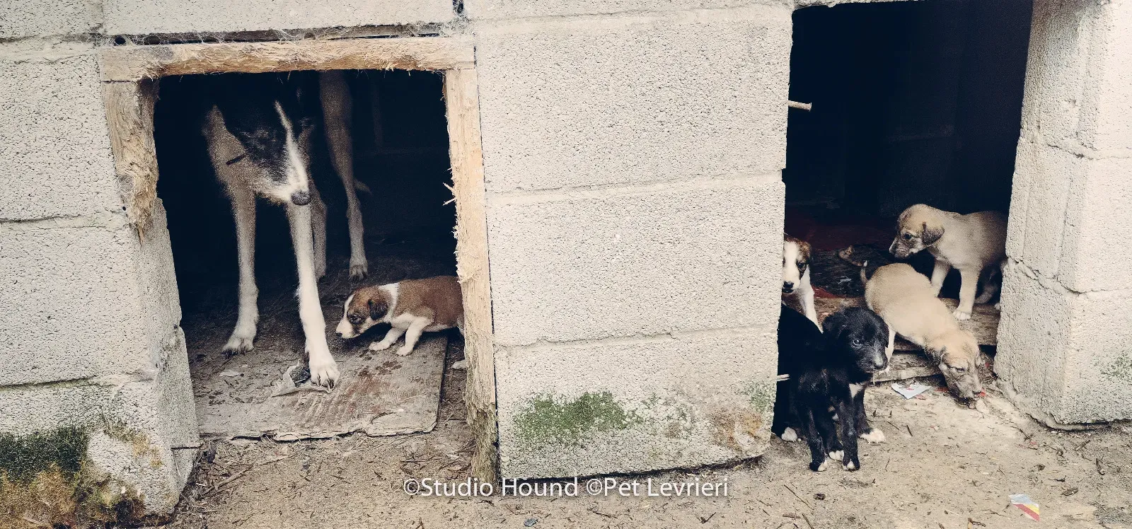 PHOTO 2022 08 09 10 29 05 14