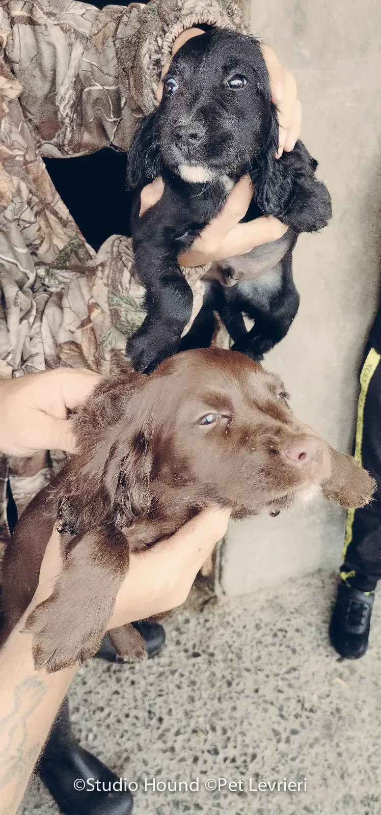 PHOTO 2022 08 09 10 29 05 15