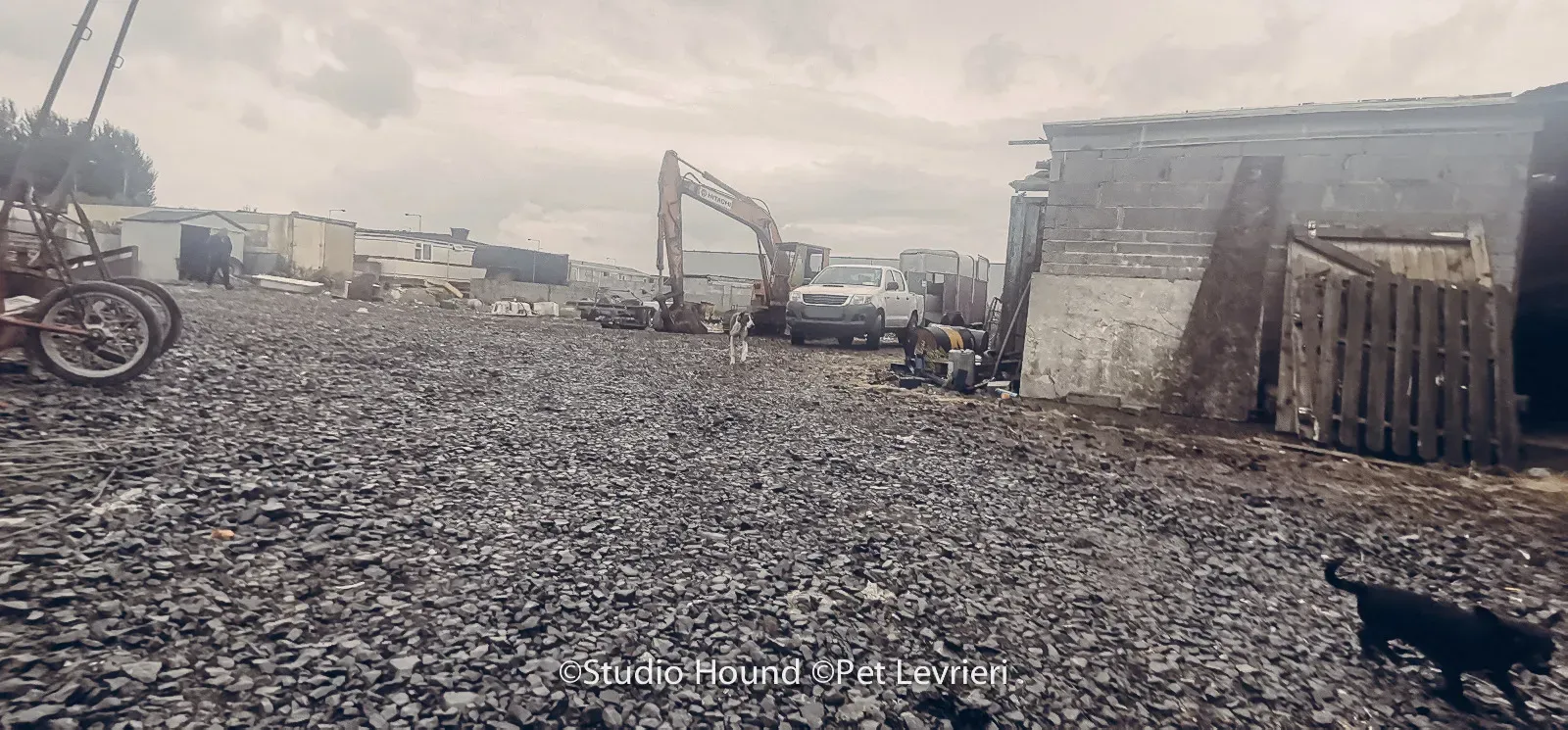 PHOTO 2022 08 09 10 29 05 3