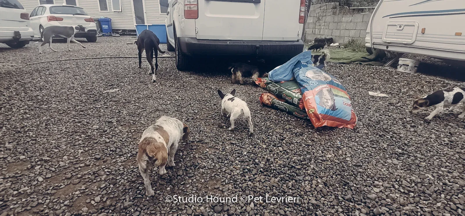 PHOTO 2022 08 09 10 29 05 4