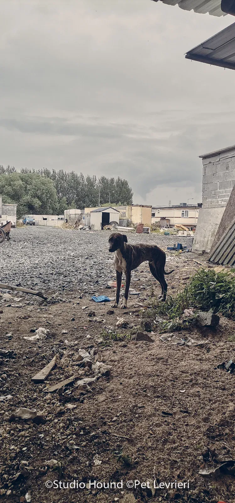 PHOTO 2022 08 09 10 29 05 5