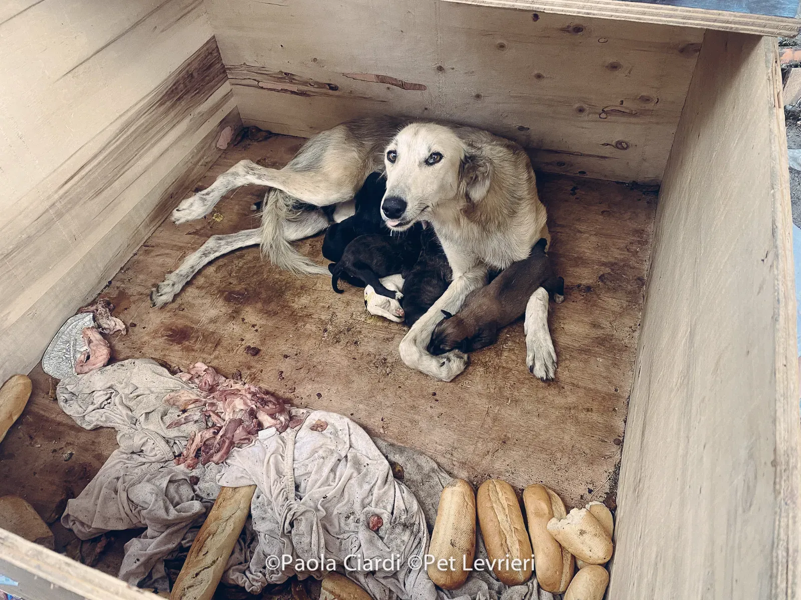 PHOTO 2022 08 09 10 29 05 6