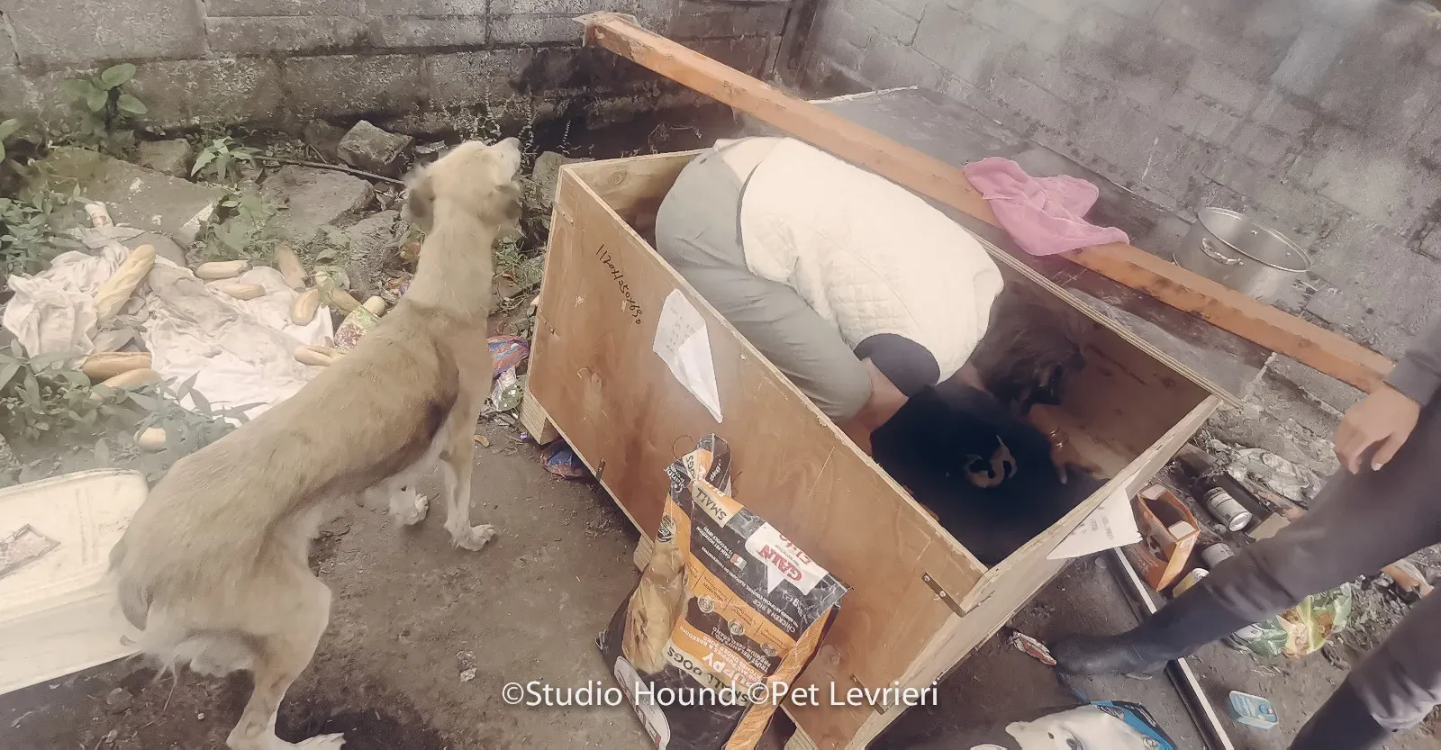 PHOTO 2022 08 09 10 29 05 7