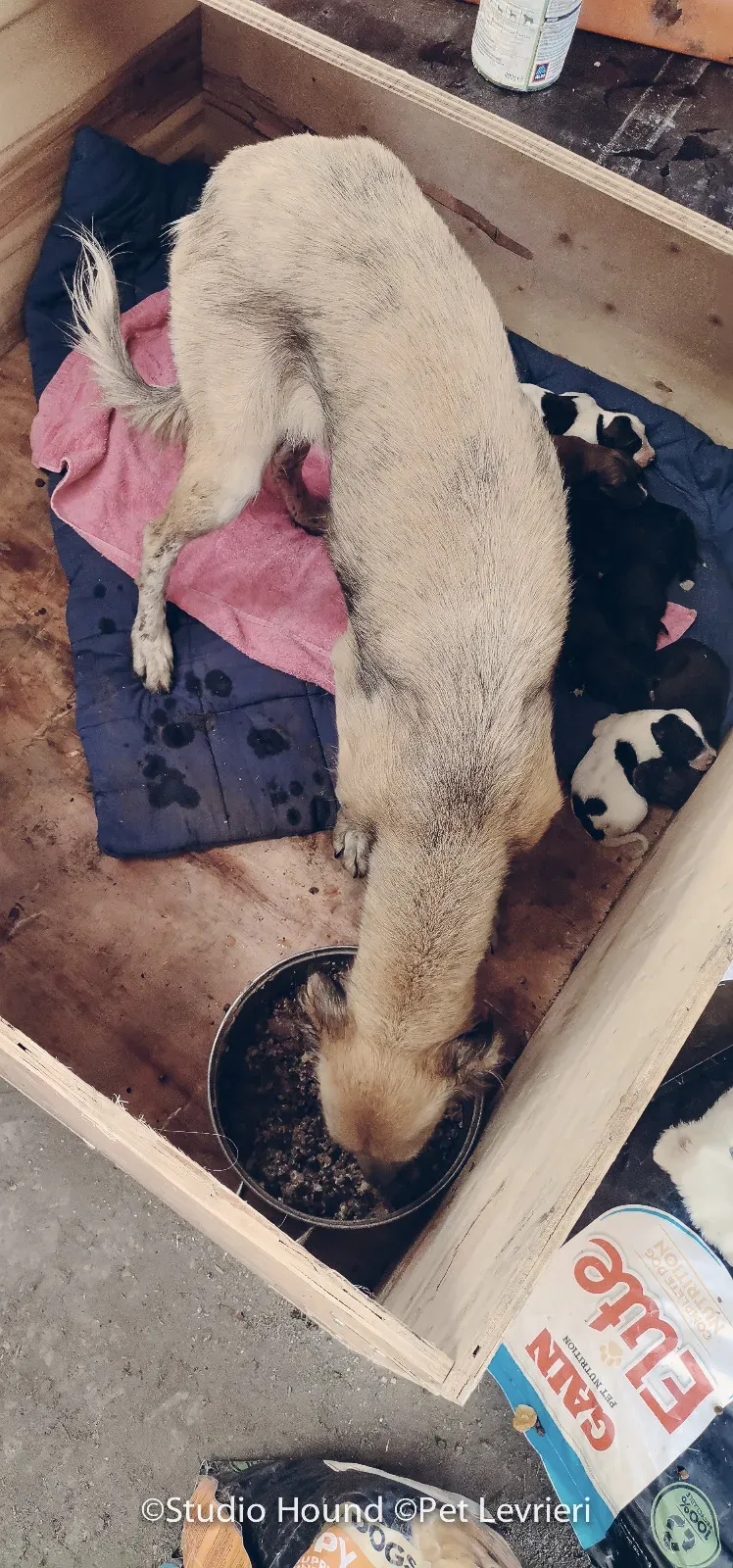 PHOTO 2022 08 09 10 29 05 8