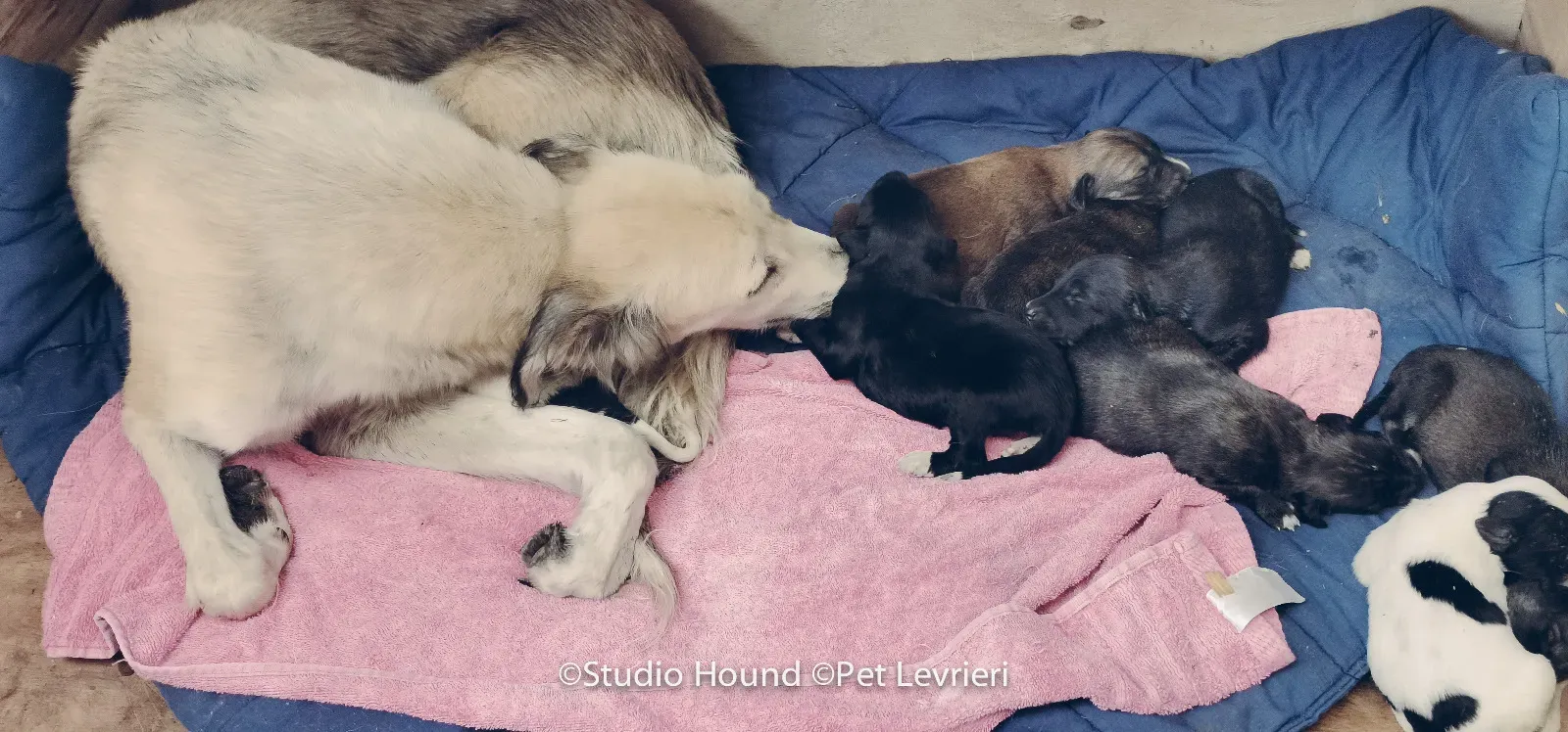 PHOTO 2022 08 09 10 29 05 9