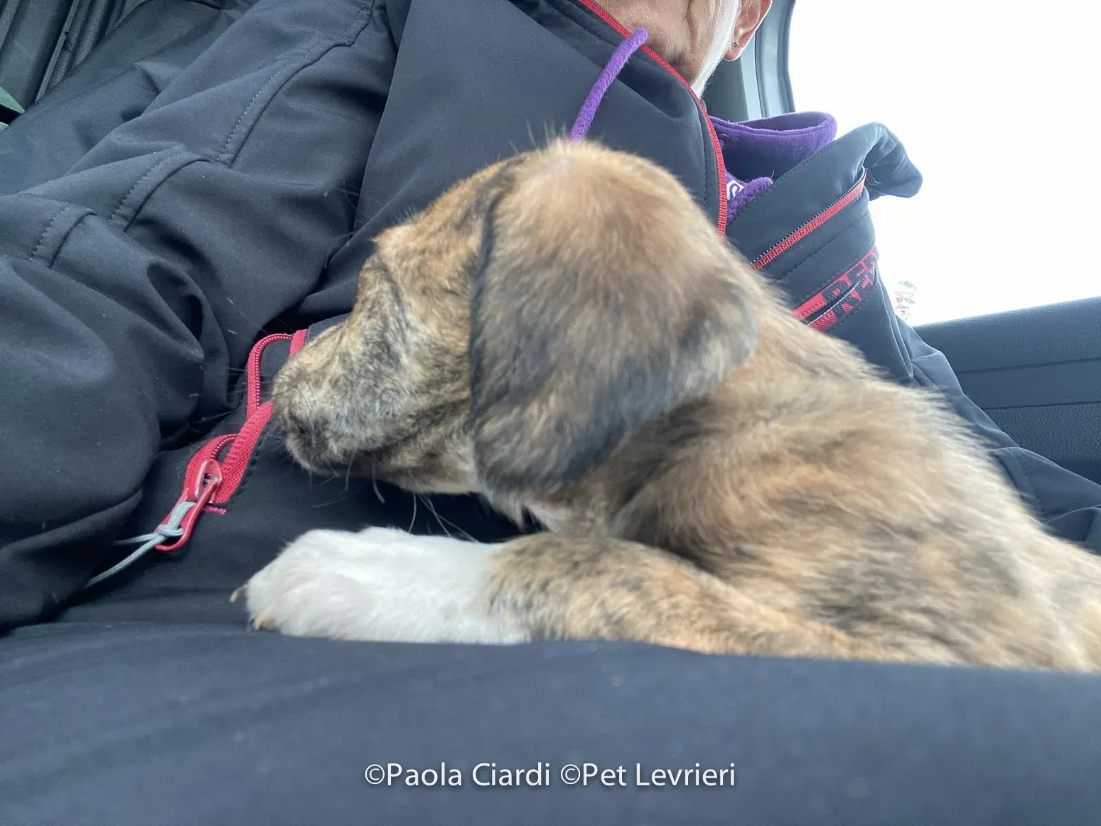 PHOTO 2022 08 09 10 29 06 2