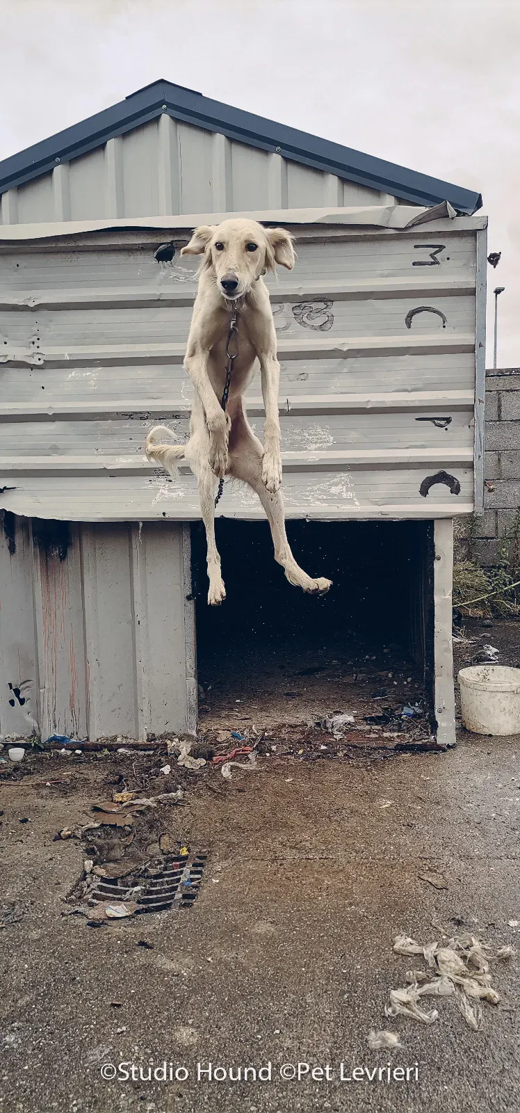 PHOTO 2022 08 09 10 29 06 3