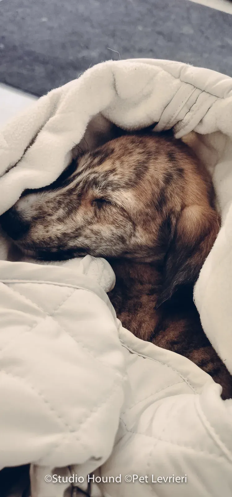 PHOTO 2022 08 09 10 29 06 4