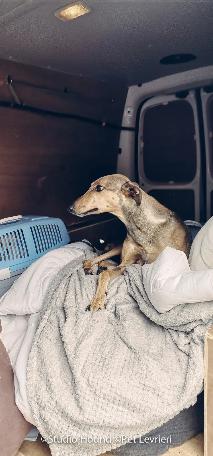 PHOTO 2022 08 09 10 29 06 6