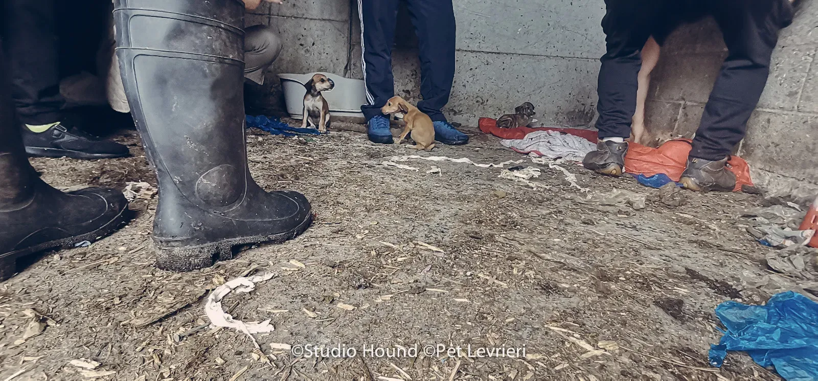 PHOTO 2022 08 09 10 29 06