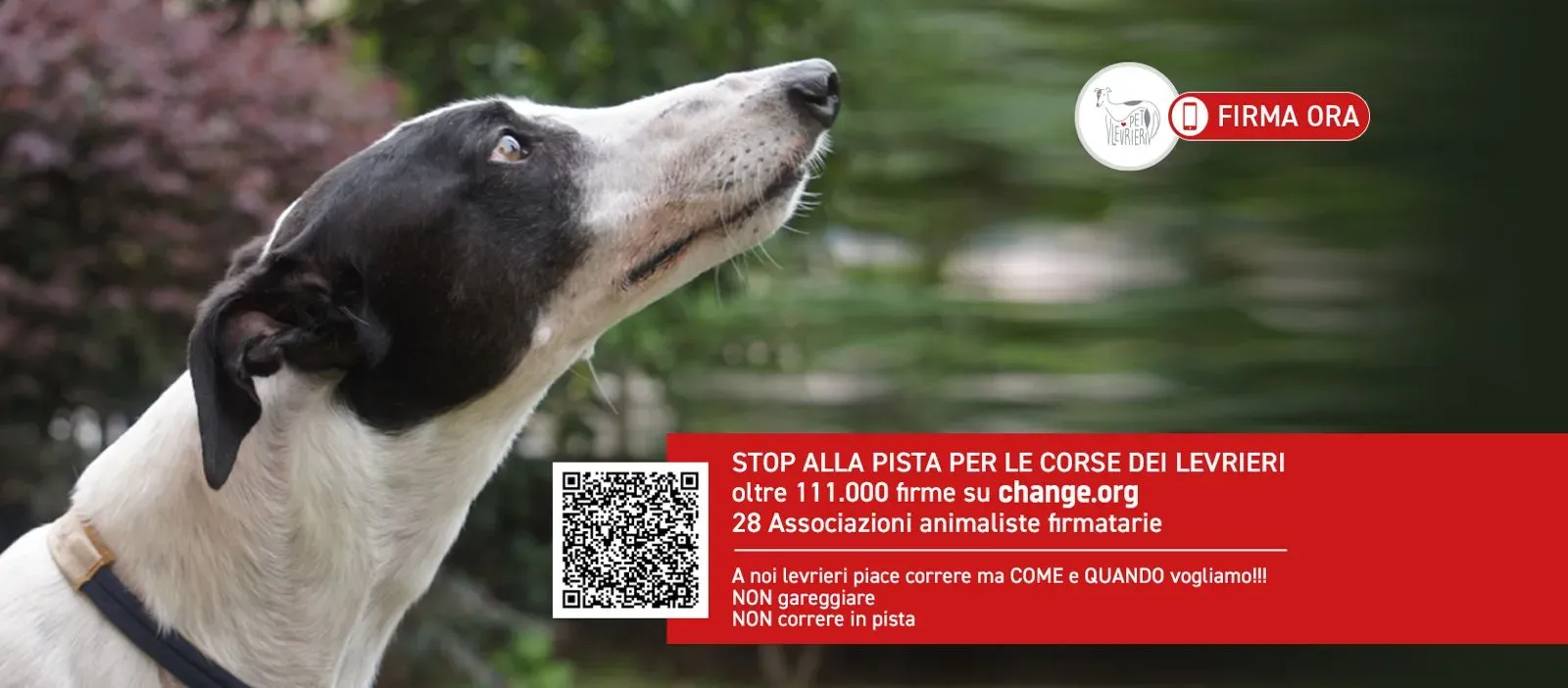 PHOTO 2024 02 22 09 35 12 2