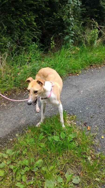 P 20160901 133400 e1475076754183