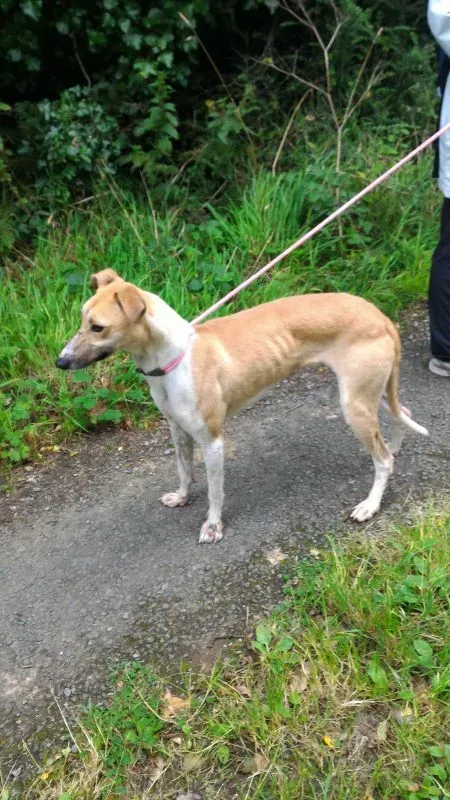 P 20160901 133426 e1475077155894