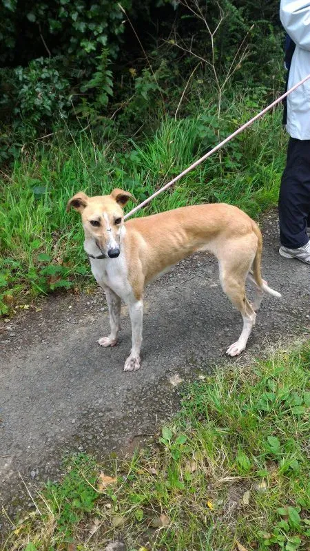 P 20160901 133428 e1475077132138