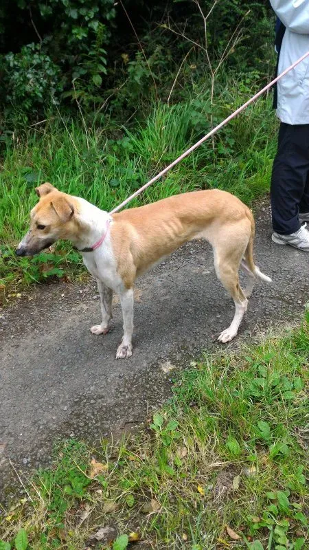 P 20160901 133430 e1475077091953