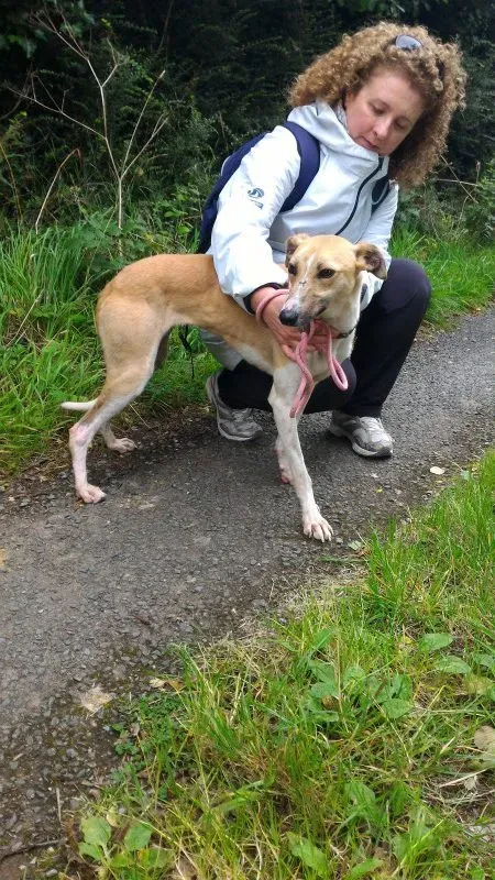 P 20160901 133440 e1475077035169