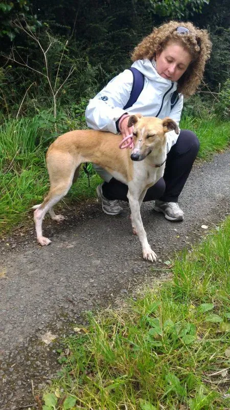 P 20160901 133442 e1475077054986