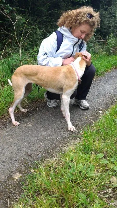 P 20160901 133444 e1475077112795