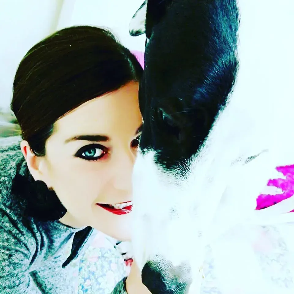 Pavel pirate greyhound adozione levrieri felici a casa d