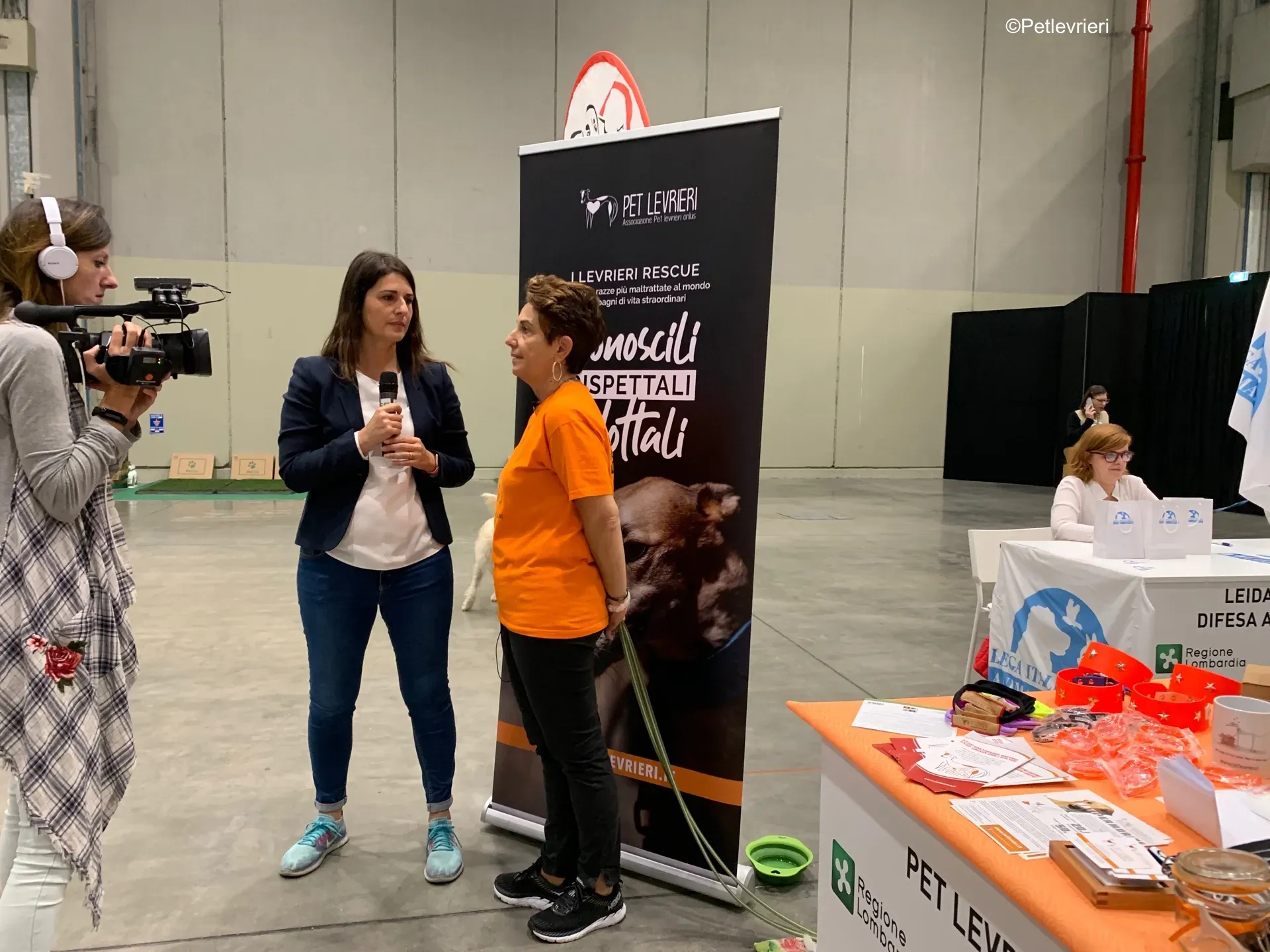 Pet Levrieri PetsInTheCity 12