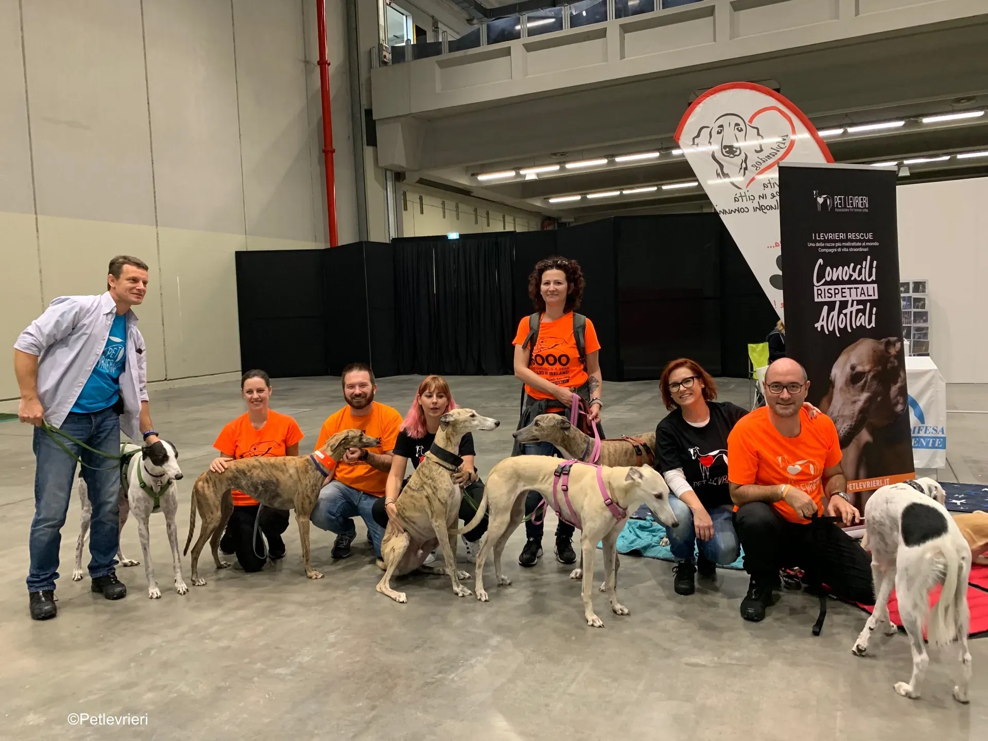 Pet Levrieri PetsInTheCity 23