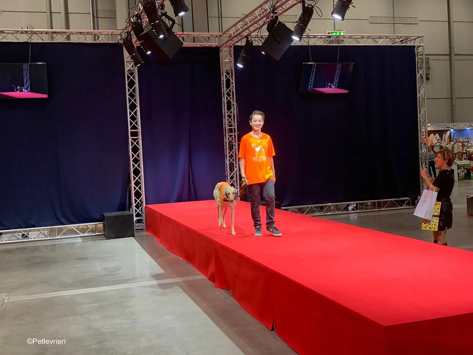 Pet Levrieri PetsInTheCity 26