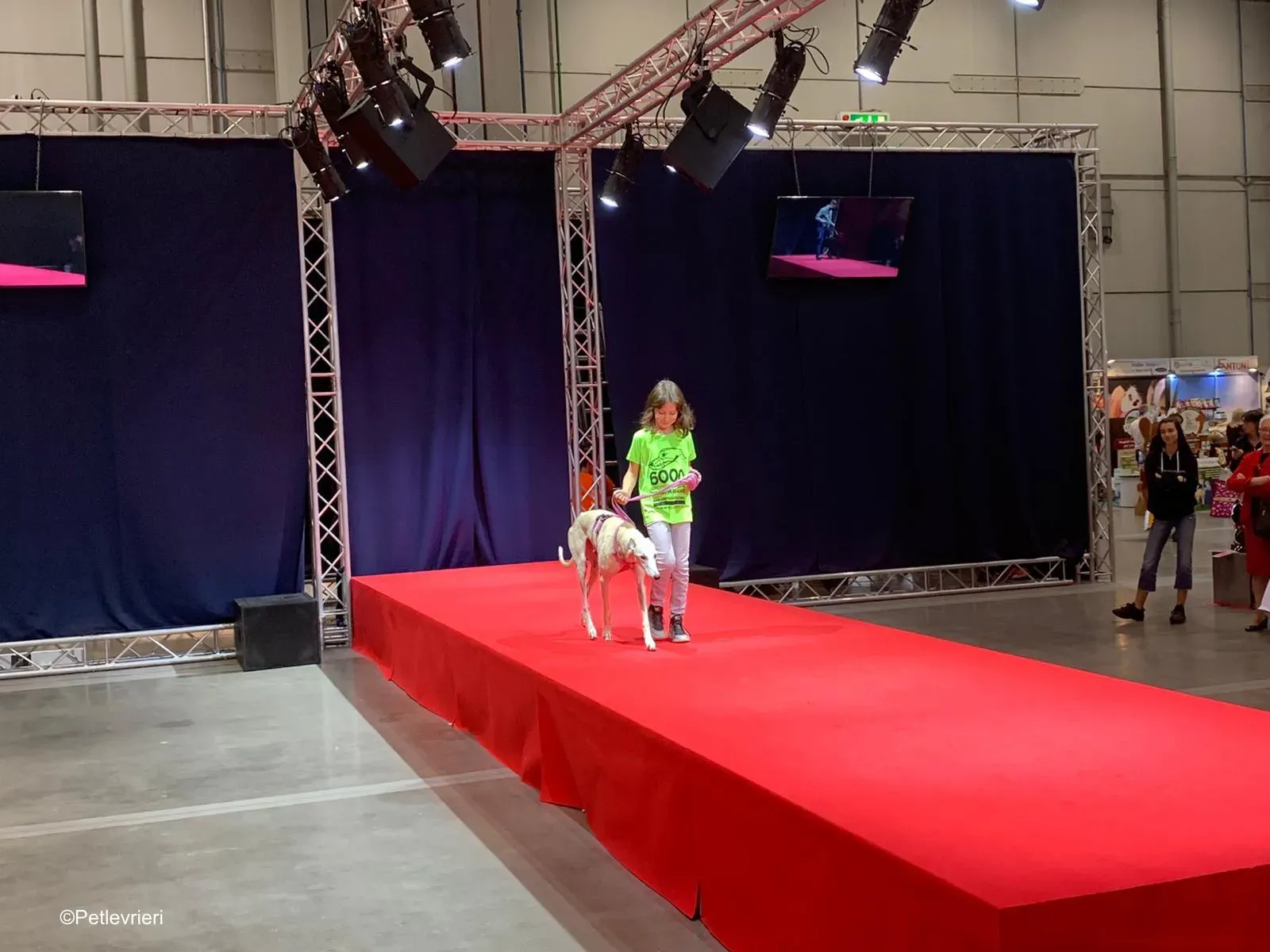 Pet Levrieri PetsInTheCity 27