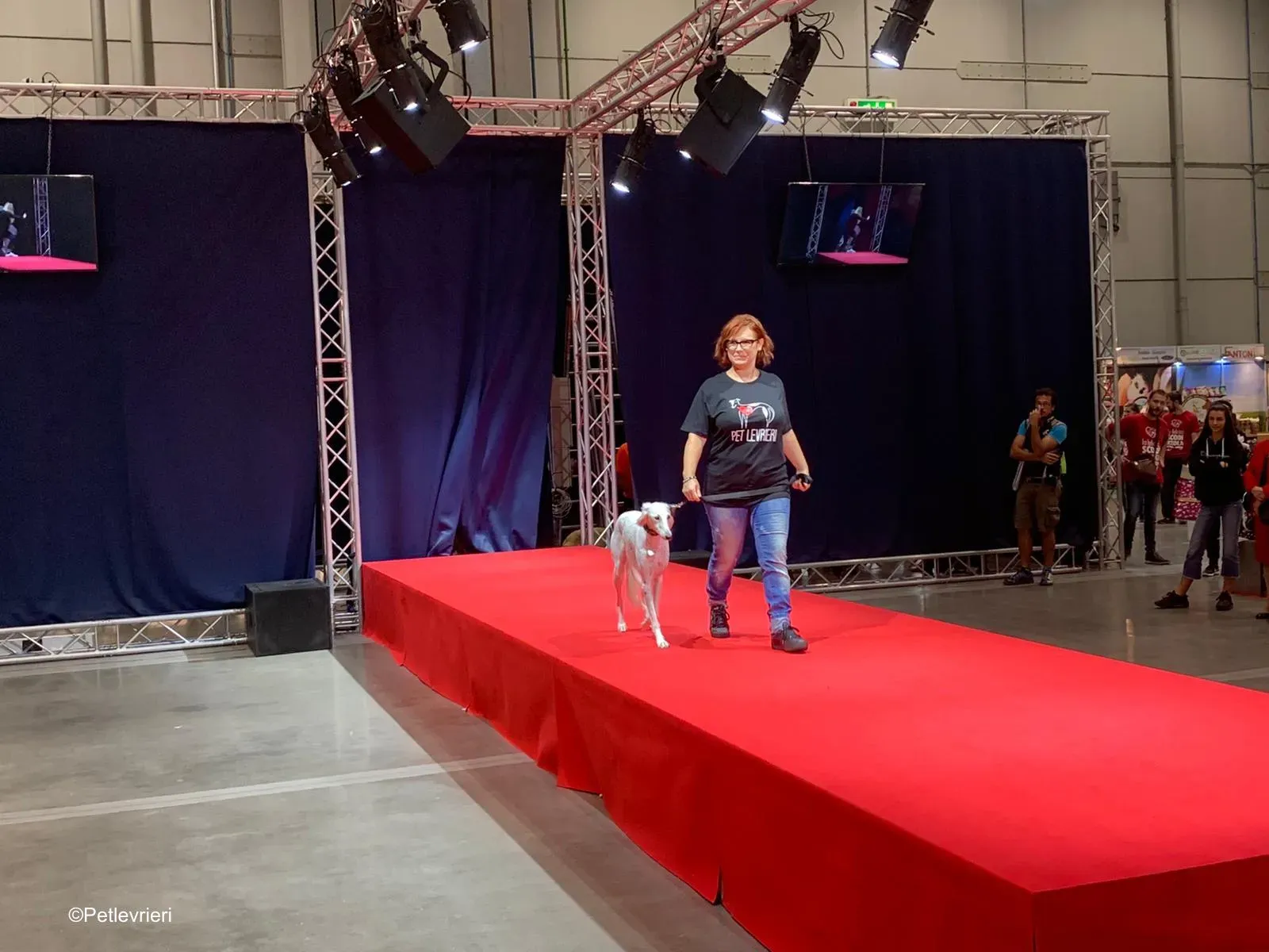 Pet Levrieri PetsInTheCity 29