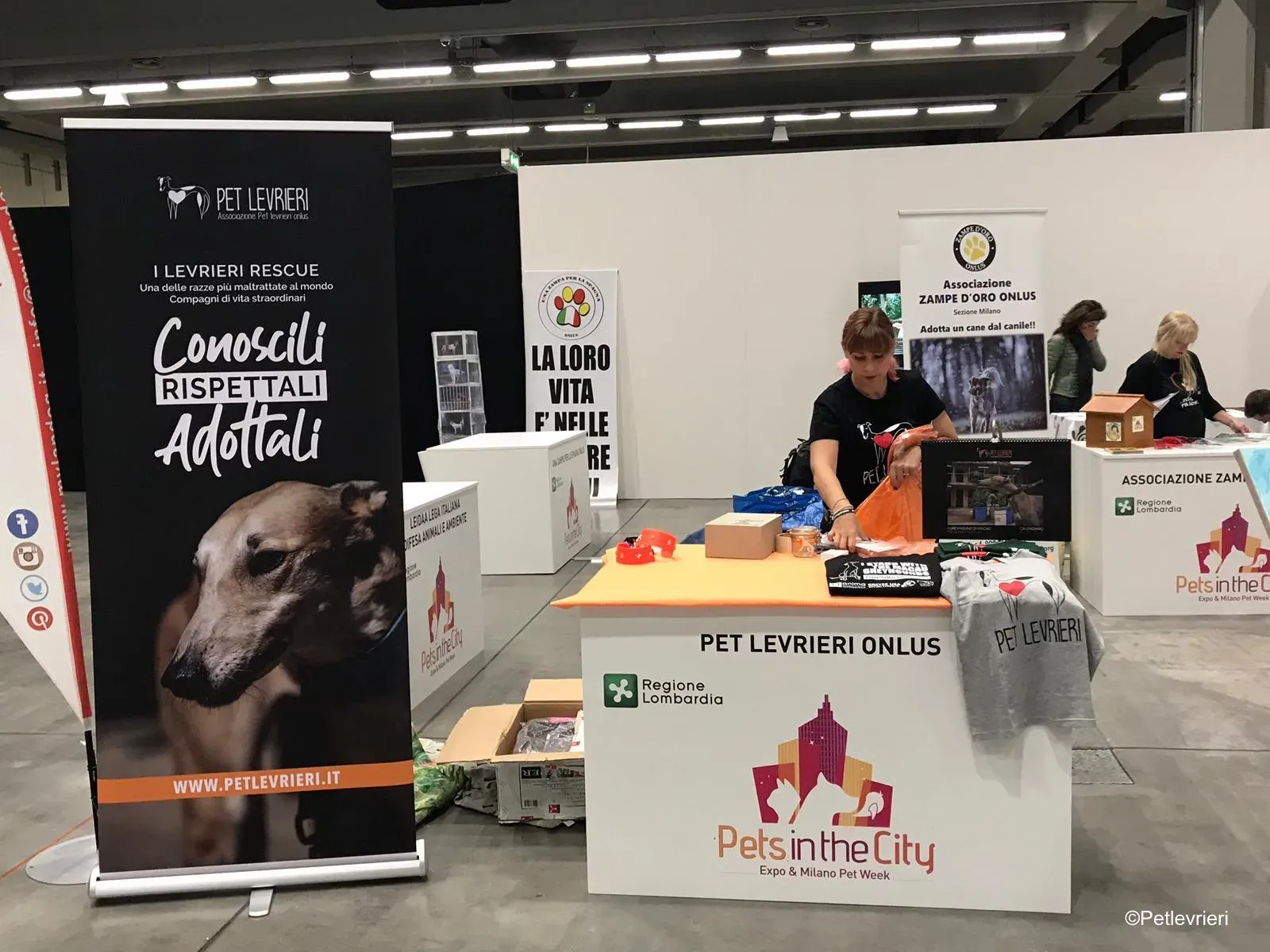 Pet Levrieri PetsInTheCity 3